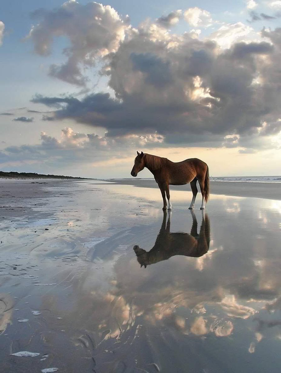 أ. مُحِب للجَمال. (@philocaaalist) on Twitter photo 