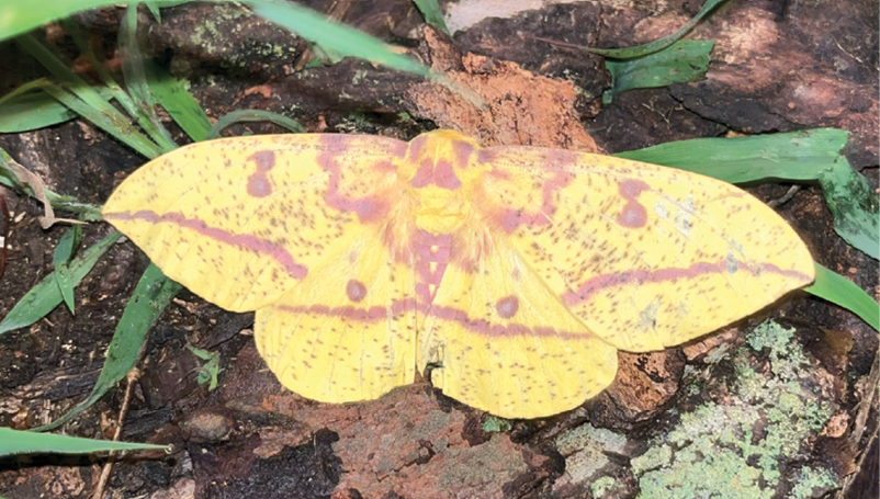 September's Conservation mindset is here! 
How Asheville Municipal Golf Course is prioritizing environmentalism among Hurricane Helene relief efforts: golfcourseindustry.com/article/rooted…