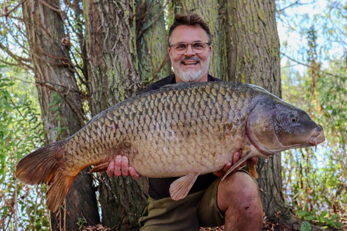Bayeswater fisheries tweet media