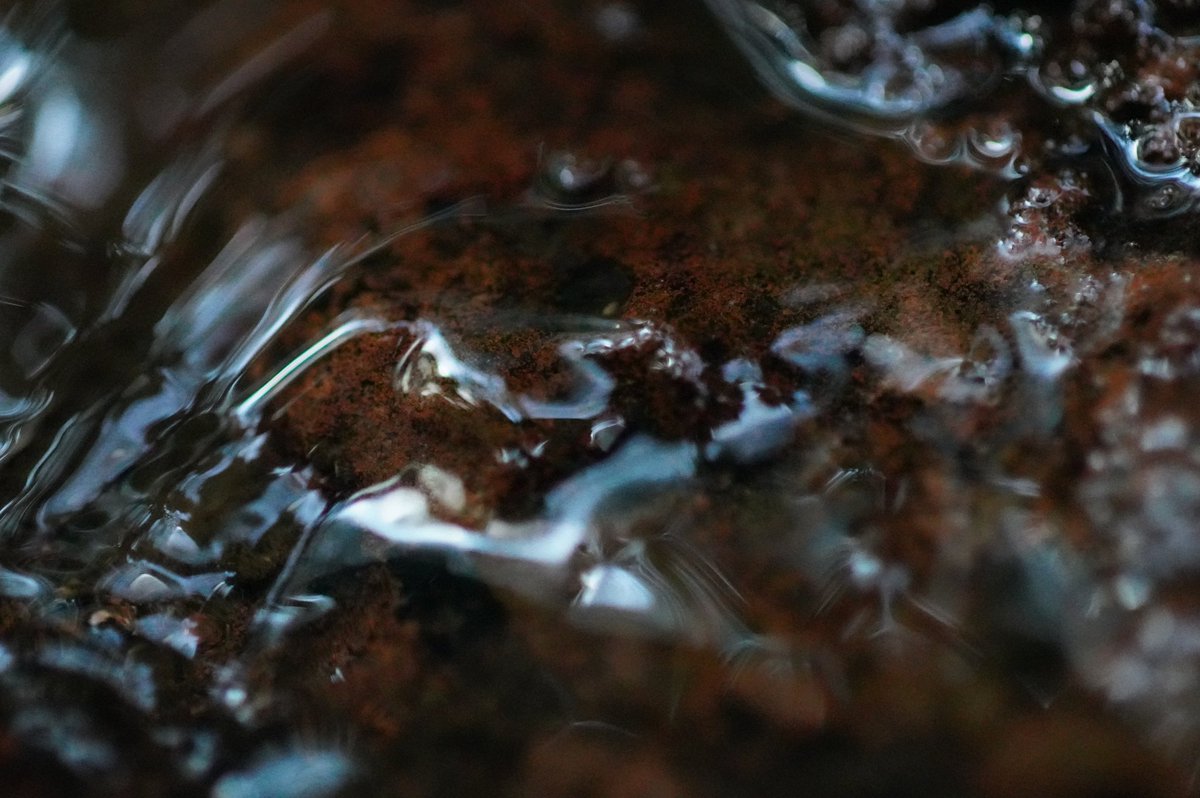 3時過ぎに目が醒め
眠いはずなのに
疲れてるはずなのに

繰り返す

治ったはずだった
病気なんて
そんなもの何かのタイミングで
簡単に復活する

こころ……は簡単には
強くなれない

頭が痛い
こころが痛い
身体が痛い

そして止まない咳が
体力をさらに奪う

起きれなくなるほど
もう眠りたい