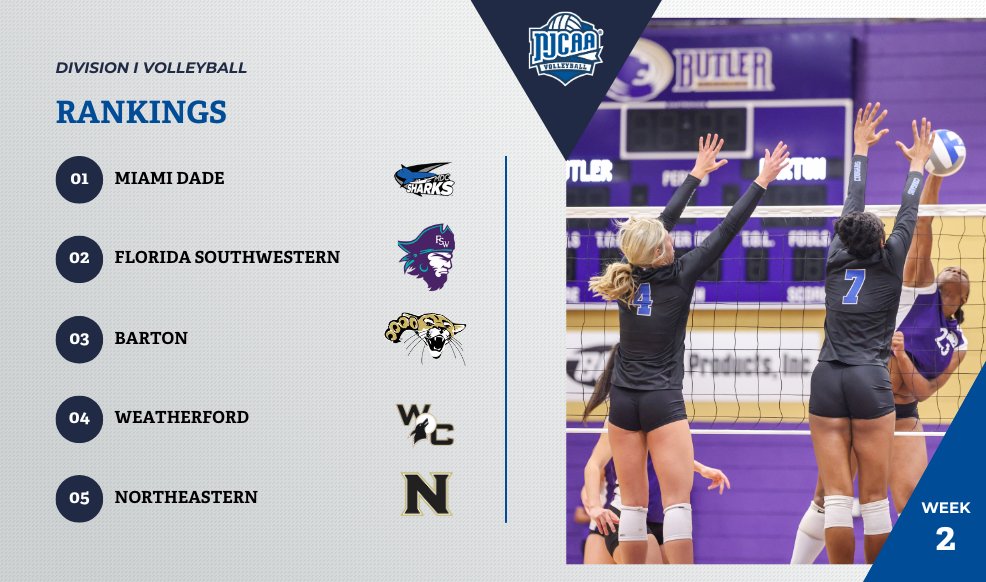 Lots of movement in this week's #NJCAAVB DI rankings! 

🐾Barton cracks the top 3

🤠Northeastern jumps up into the top 5

Check out the full rankings here⬇️
njcaa.org/sports/wvball/…