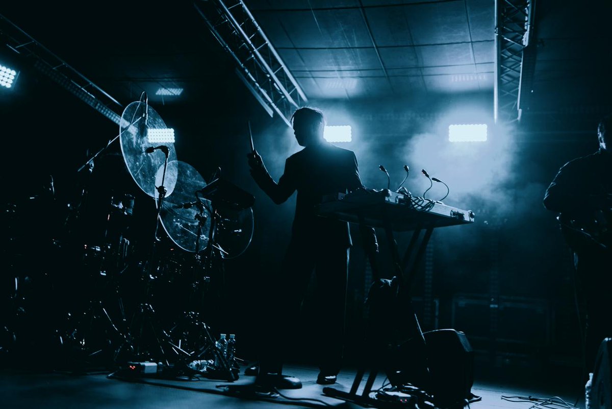 Дельфин tweet media