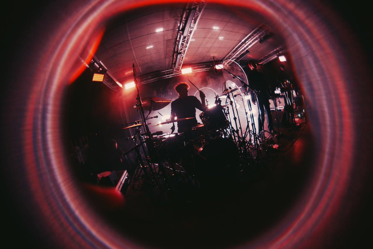 Дельфин tweet media