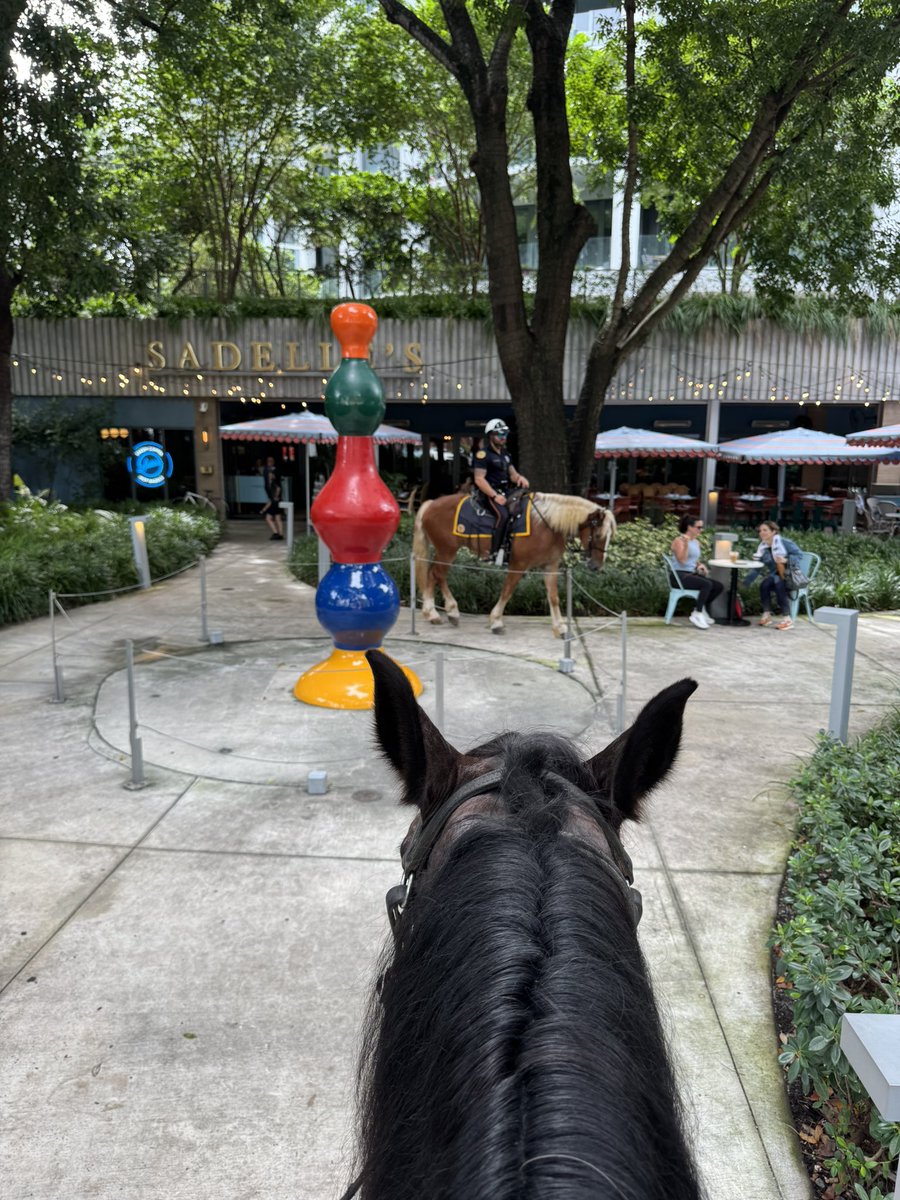 Love to see OUR <a href="/MiamiPD/">Miami PD</a> Mounted Officers bring Joy and Protection to #coconutgrove 
<a href="/Damianpardo8/">Damian John Pardo</a> <a href="/CoconutGroveBID/">Coconut Grove Miami</a>