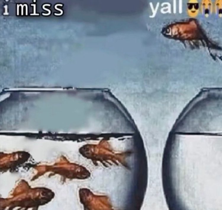 lmfaotesuals's tweet image. #AndPost