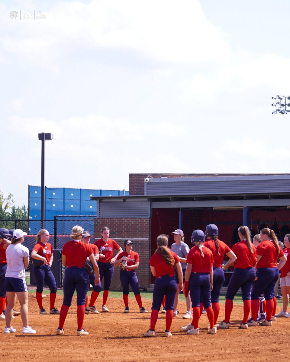 Belmont Softball tweet media