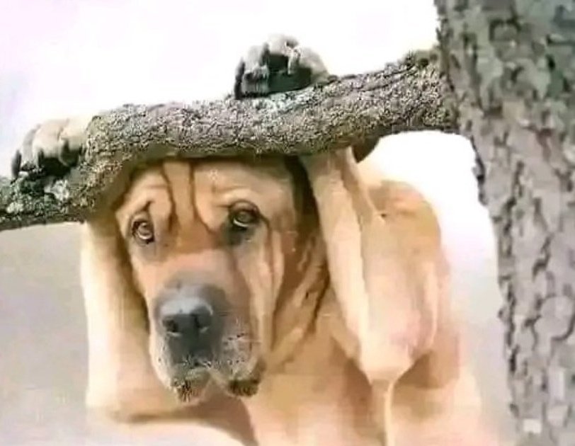 Niko Ile age mzazi ananituma duka bila pesa.