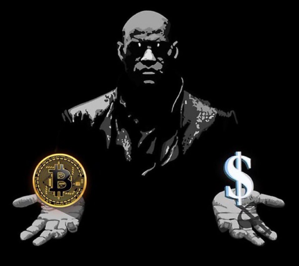 BensBidding's tweet photo. #escapthematrix https://t.co/BYjnV3EO27