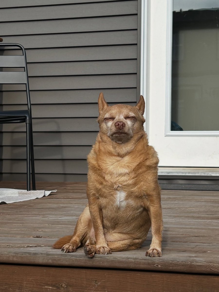 Yeti_Palms's tweet image. My energy and attitude today. 😀