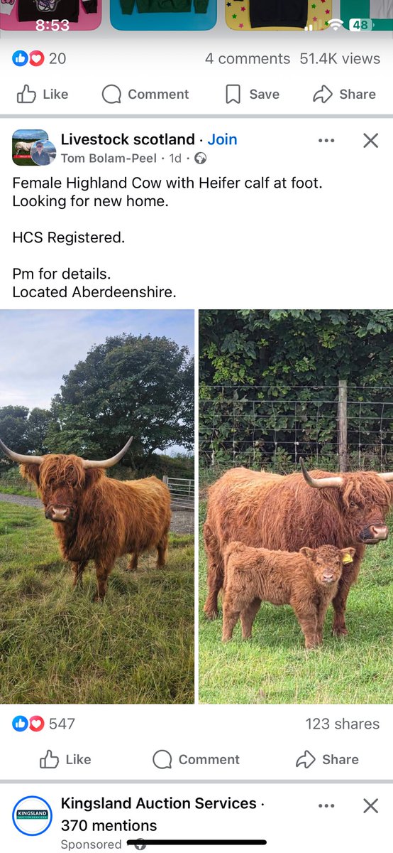 StanyerRob's tweet photo. @Syndicate @Syndicate something you might be interested in! 🐮🐮 https://t.co/P4W3FWJXOo