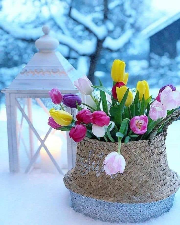 ايمن امين (@ymnmyn948260194) on Twitter photo #ايمن_لدعم
<a href="/EuYunuK3JaMila/">مضحي💙 السبيعي</a>
<a href="/b_z_zl/">🇾🇪ابومحمد🇵🇸(مقيدلاتلغي)</a>
<a href="/fifochh/">يـــوســف</a>
<a href="/A_nse14/">أبو عماد</a>
<a href="/RRy1330/">سوسو</a>
<a href="/iL60524/">رَغًدِ ْعلُيَ</a>
<a href="/yutzw2/">ســــــــــالم | salm</a>
<a href="/ymnmyn948260194/">ايمن امين</a>
<a href="/HadyAldbyany/">هادي الضبياني 🇾🇪</a>
<a href="/BAlswfy97049/">abdalkreemalsoffee</a>
<a href="/mohmedalch/">وطــنــي🇾🇪جـــريــح</a>
<a href="/AAlymn96764/">مــحـمـد السوادي🚫 مقيد لا تلغي المتابعه</a>
<a href="/bwnjyb127285/">أبو نجيب</a>
<a href="/hgyfod/">نواف</a>
<a href="/alazzzz5/">تجديد بي ان سبورت | beIN SPOTRTS</a>
<a href="/mmdsydfrhwl1/">عفيف روحاني</a>
<a href="/mfq19591/">الصقر ألجارح{🟥}🟥🟥{ #رجاء_الخاص_ممنوع_مهمل🗑️}</a>
<a href="/tybyfhh/">~~🌷🌹 دلال ♥~~</a>
<a href="/blr3333/">أميــــر الحــــب</a>
<a href="/789teqqe/">سيف الزعيم المسلول 🇸🇦</a> #ايمن_لدعم
<a href="/EuYunuK3JaMila/">مضحي💙 السبيعي</a>
<a href="/b_z_zl/">🇾🇪ابومحمد🇵🇸(مقيدلاتلغي)</a>
<a href="/fifochh/">يـــوســف</a>
<a href="/A_nse14/">أبو عماد</a>
<a href="/RRy1330/">سوسو</a>
<a href="/iL60524/">رَغًدِ ْعلُيَ</a>
<a href="/yutzw2/">ســــــــــالم | salm</a>
<a href="/ymnmyn948260194/">ايمن امين</a>
<a href="/HadyAldbyany/">هادي الضبياني 🇾🇪</a>
<a href="/BAlswfy97049/">abdalkreemalsoffee</a>
<a href="/mohmedalch/">وطــنــي🇾🇪جـــريــح</a>
<a href="/AAlymn96764/">مــحـمـد السوادي🚫 مقيد لا تلغي المتابعه</a>
<a href="/bwnjyb127285/">أبو نجيب</a>
<a href="/hgyfod/">نواف</a>
<a href="/alazzzz5/">تجديد بي ان سبورت | beIN SPOTRTS</a>
<a href="/mmdsydfrhwl1/">عفيف روحاني</a>
<a href="/mfq19591/">الصقر ألجارح{🟥}🟥🟥{ #رجاء_الخاص_ممنوع_مهمل🗑️}</a>
<a href="/tybyfhh/">~~🌷🌹 دلال ♥~~</a>
<a href="/blr3333/">أميــــر الحــــب</a>
<a href="/789teqqe/">سيف الزعيم المسلول 🇸🇦</a>