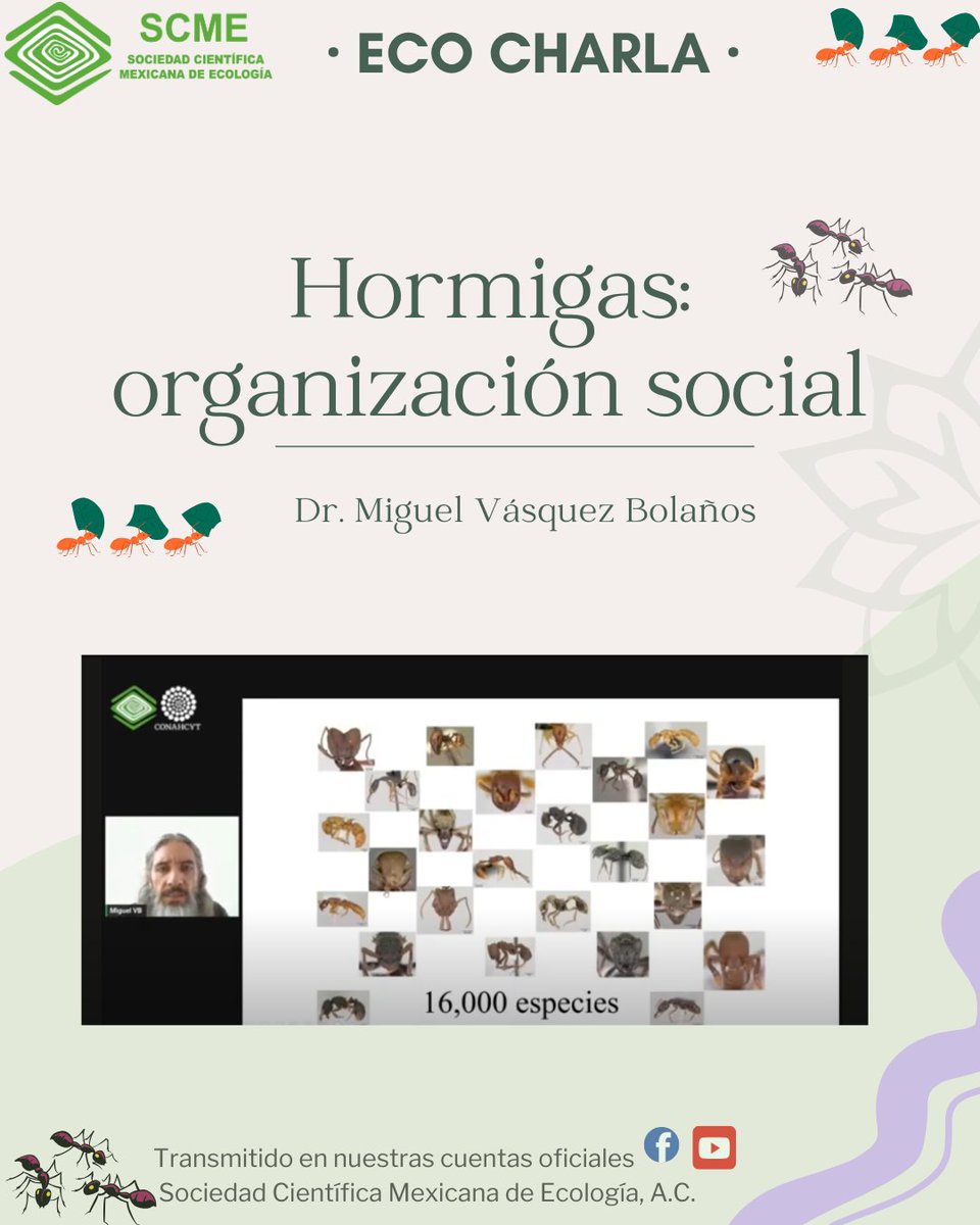 Sociedad Científica Mexicana de Ecología tweet media