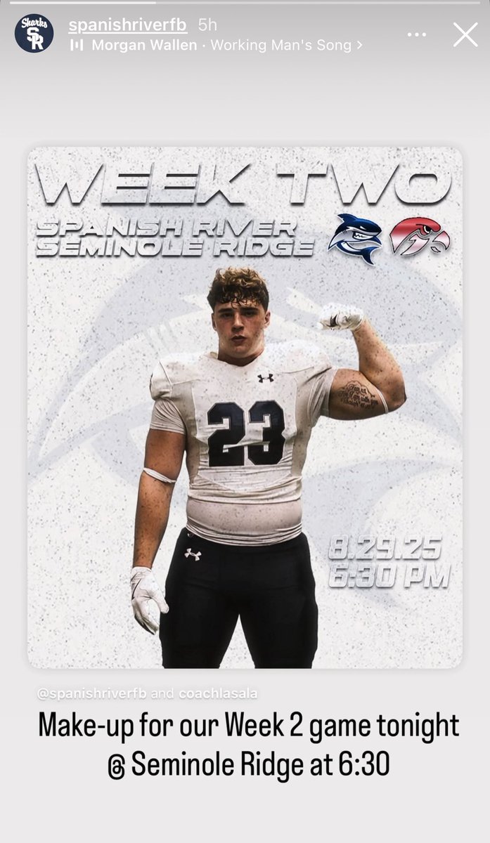 Lisa Harrison tweet media