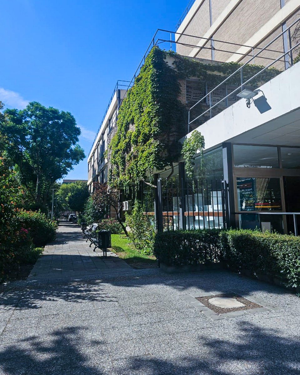 📍 En la Univ. de Sevilla exploramos con el prof. Andrés Martín Pastor la arquitectura paramétrica: una metodología que transforma ideas en geometrías complejas, optimiza procesos y genera propuestas innovadoras que integran diseño, eficiencia y sostenibilidad. 🌍✨