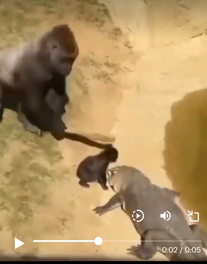 WellForced tweet media