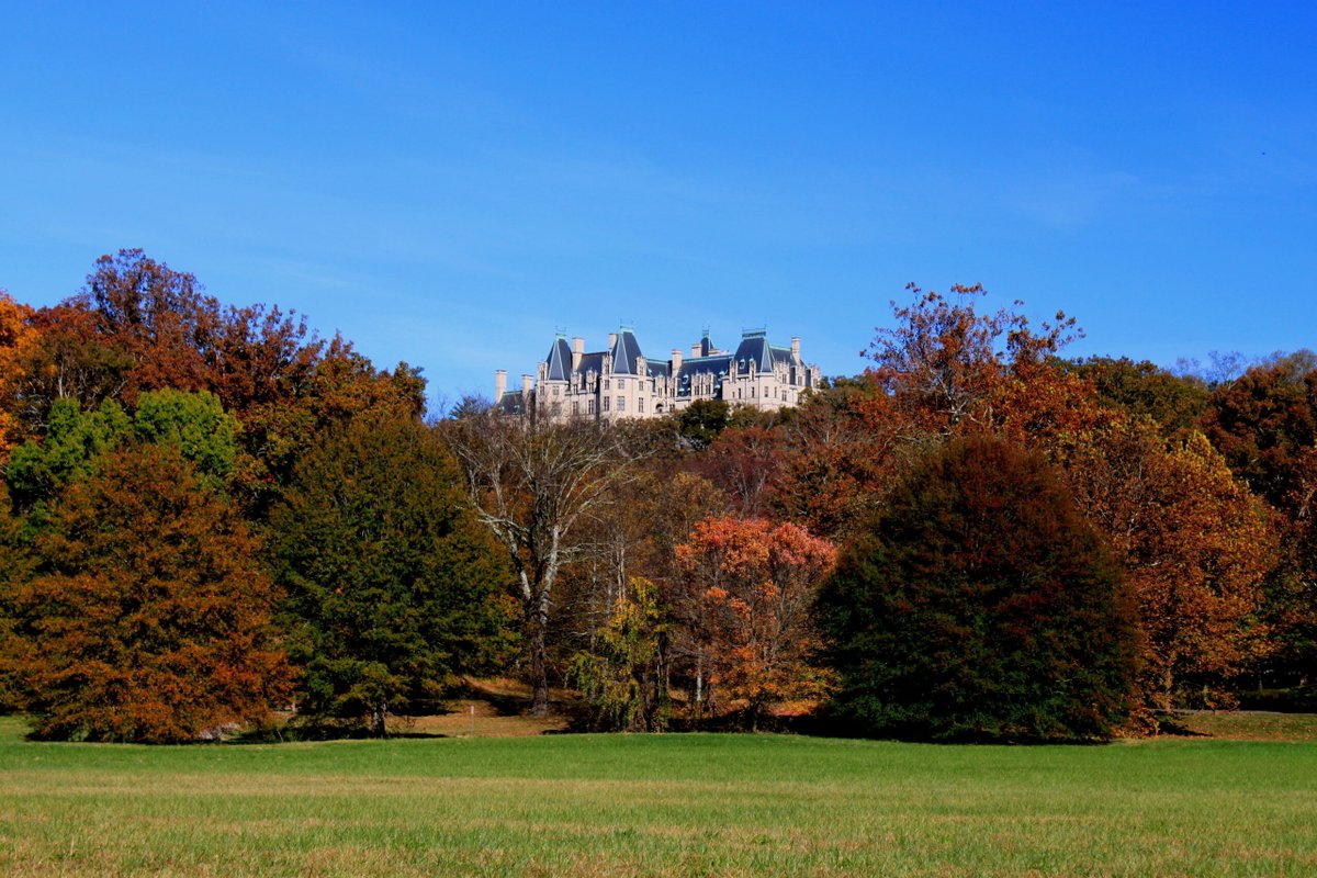 WhereverFamily tweet media