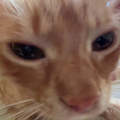 #YeniProfilResmi kizim