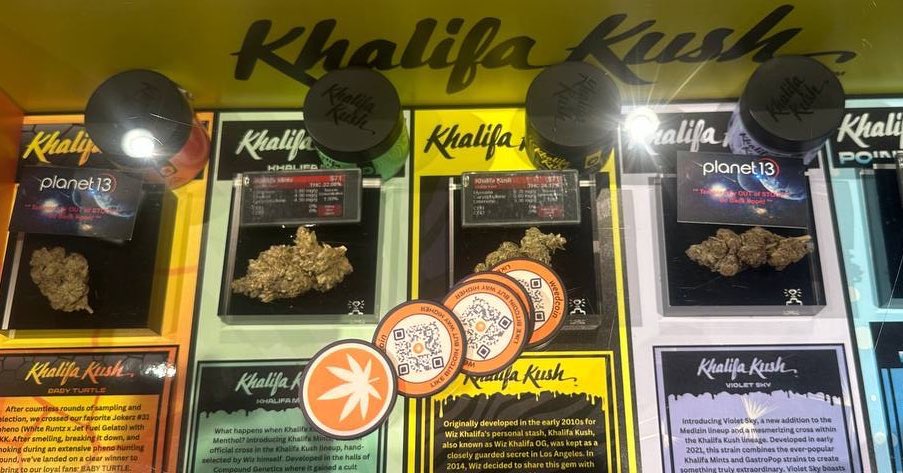 CoinnoisseurOG's tweet image. Rasta final boss is All in 
$Weedcoin “Like Bitcoin but way higher”
@weedcoinOG 

21nnfR4TkbZNLwvRrqEseAbz7P3kxKjaV7KuboLJpump