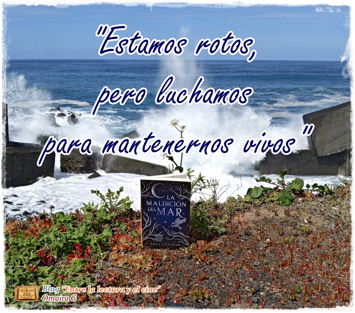 📖 #LaMaldiciónDelMar 🌊
✍️ #SheaErnshaw