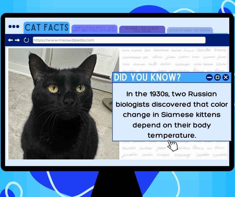 It’s time for Cat Fact of the Day! Today’s fact comes from Rexie! 😺💙🐾
Did you know this amazing cat fact? Tell us in the comments below!