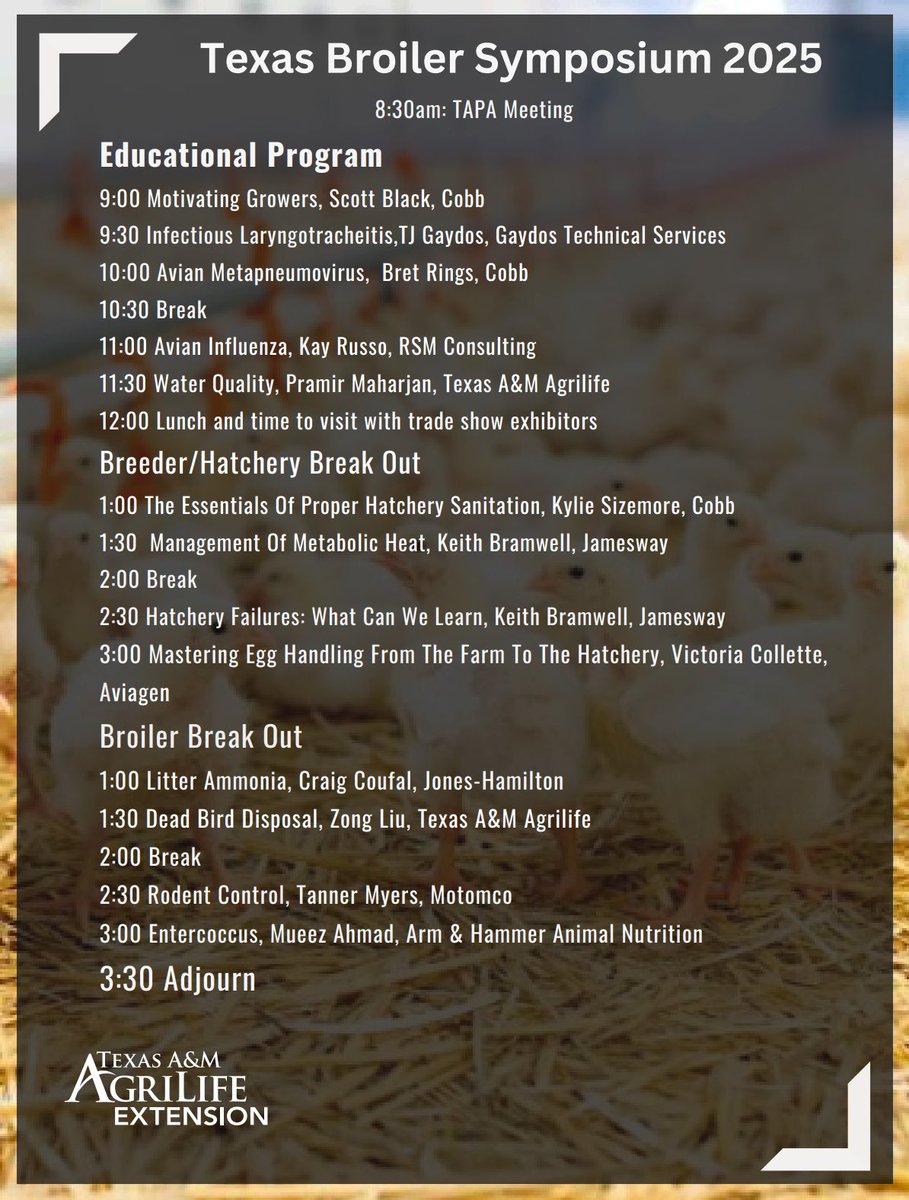 TexasManure's tweet image. We’re ready, Tyler! 🎉 Texas Broiler Symposium agenda drops for Sept 11, 2025.
Featuring @cobbvantress @RSMUSLLP @Jameswayinc @AviagenTweets @JonesHamiltonAG @BellLabsMouse 
 @AgriLife @txextension @txresearch @TAMUPOSC @tamubaen @texaspoultry 
#PoultryFarming #DeadBirdDisposal