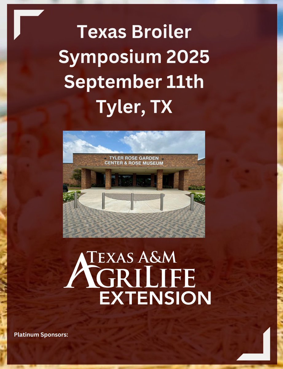 TexasManure's tweet image. We’re ready, Tyler! 🎉 Texas Broiler Symposium agenda drops for Sept 11, 2025.
Featuring @cobbvantress @RSMUSLLP @Jameswayinc @AviagenTweets @JonesHamiltonAG @BellLabsMouse 
 @AgriLife @txextension @txresearch @TAMUPOSC @tamubaen @texaspoultry 
#PoultryFarming #DeadBirdDisposal