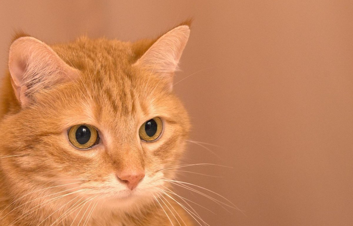 👩‍👩‍👧
楽しんでね！
🥵 晴れてるね！