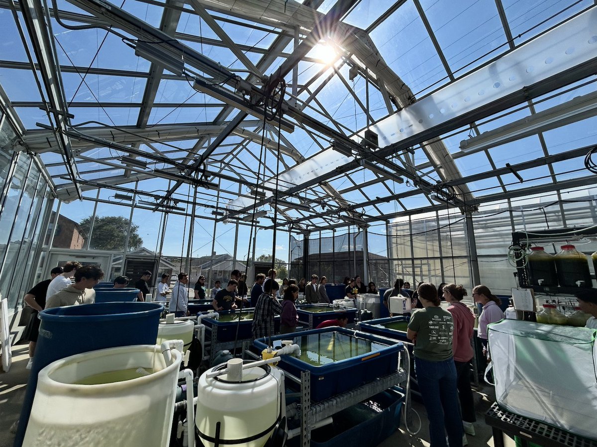 When Blue is Green Project tweet media