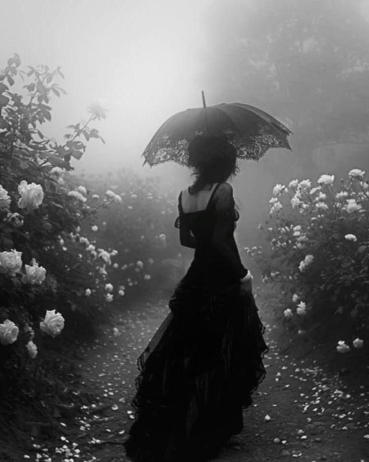 Black. (@blackdreamvibes) on Twitter photo 