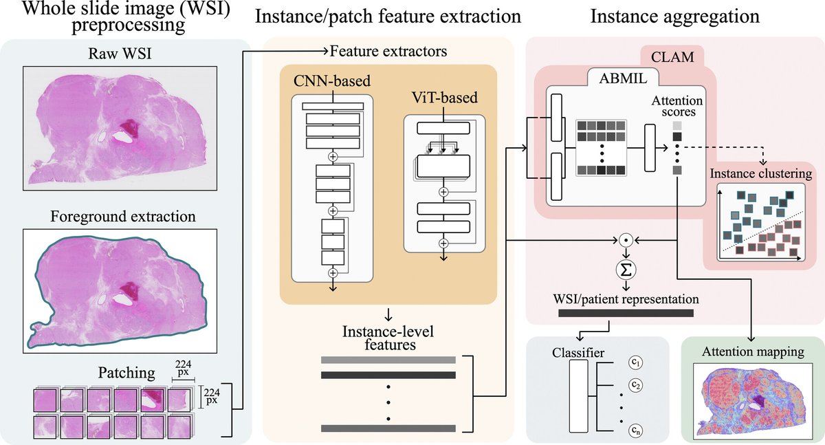 brainpathol's tweet image. Pediatric brain tumor classification using digital pathology and deep learning: Evaluation of SOTA methods on a multi-center Swedish cohort
onlinelibrary.wiley.com/doi/10.1111/bp…