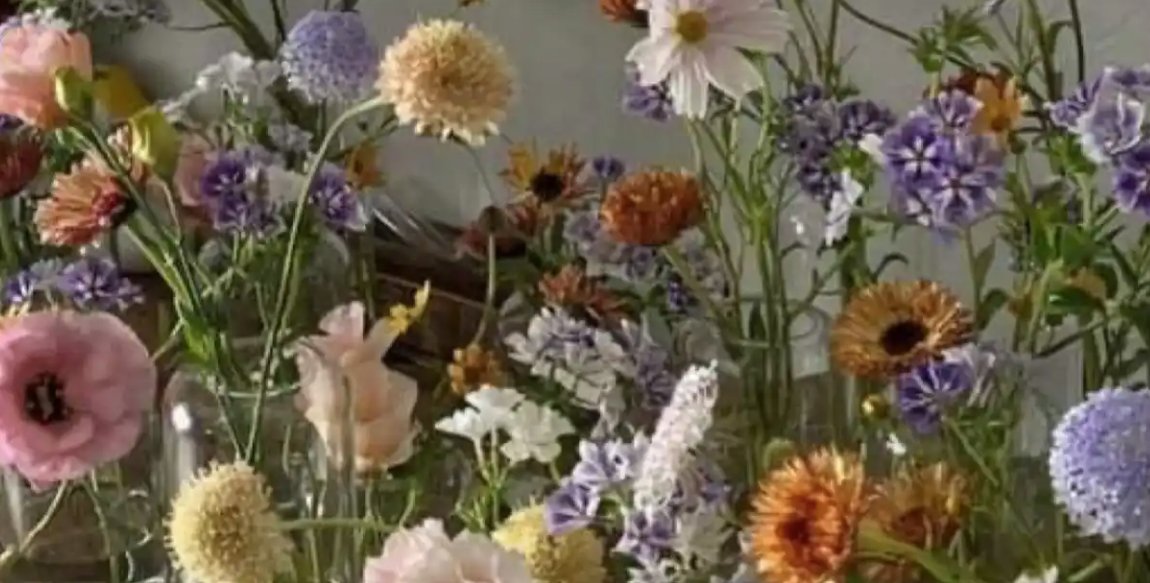 coreywick's tweet image. Join Meghan of Pauline Nader's Flowers &amp;amp; 200-hour RYT Julie Jacobson on Saturday, Sept 13th at 10:30am in Pretzel Park for all-levels vinyasa yoga + fresh flower bouquet creation!
REGISTER: events.humanitix.com/petals-and-pos…
#ManayunkYoga #PhillyYoga #VinyasaYoga #PretzelPark #YogaClass