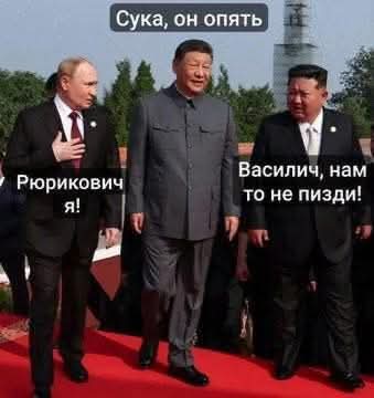 vox 🇺🇦 (@voxpadre) on Twitter photo 