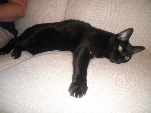 Han pasado 11 años ya.
Se te echa de menos pequeño.