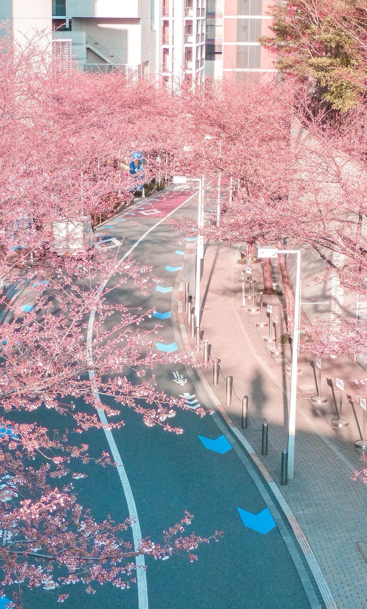 👨‍🦯
困ったらいつでも言ってね！
👨‍👧‍👦 👨‍👨‍👧‍👦