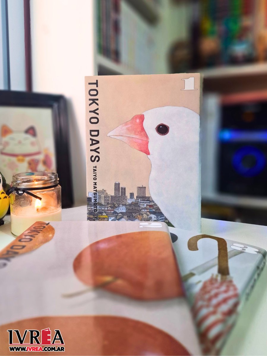 ivreality's tweet image. 🌟 ¿Todavía no leíste Tokyo Days de Taiyo Matsumoto?

El autor presenta en esta obra una gran reflexión sobre la vida y la experiencia, al mismo tiempo que refleja su visión sobre la industria del manga de la que es parte.