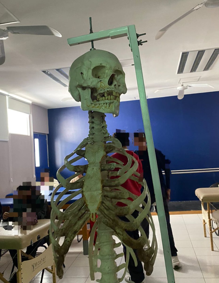 Pausi_25's tweet photo. ✨ Hoy es el Día Mundial de la Fisioterapia ✨
Sé que esta cuenta no es “de fisio” pero es mi carrera, la amo y me hace muy feliz estudiarla 🫶🏻.
Felicidades a todos los fisios y futuros fisios que con cada movimiento buscamos cambiar vidas 💪🏻 https://t.co/chUvWCC5SW