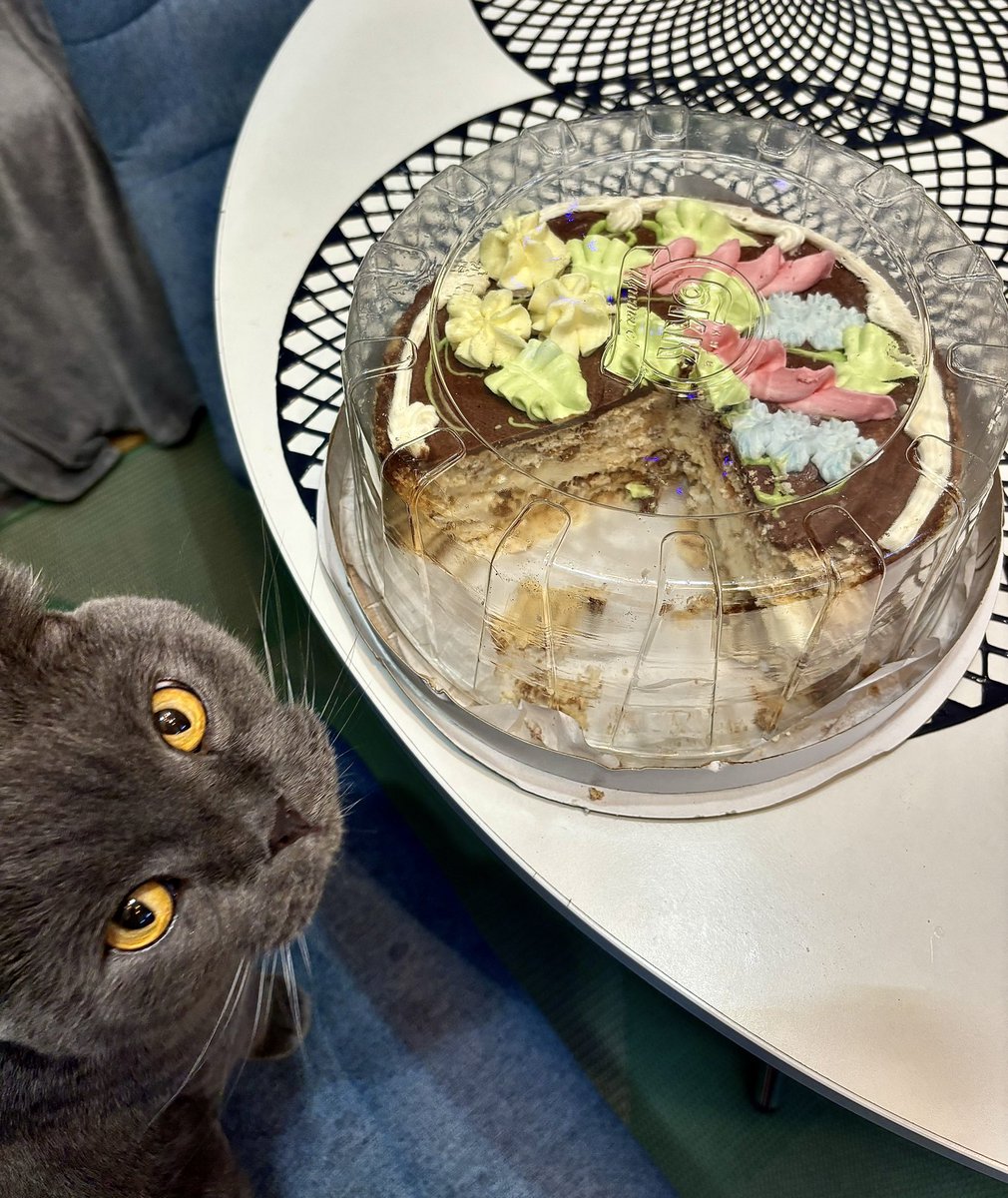 Відбулась ревізія 🫦