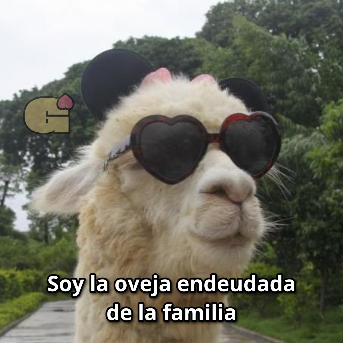 Guarromantico_'s tweet photo. Soy ese! https://t.co/ONuBLSEBg1