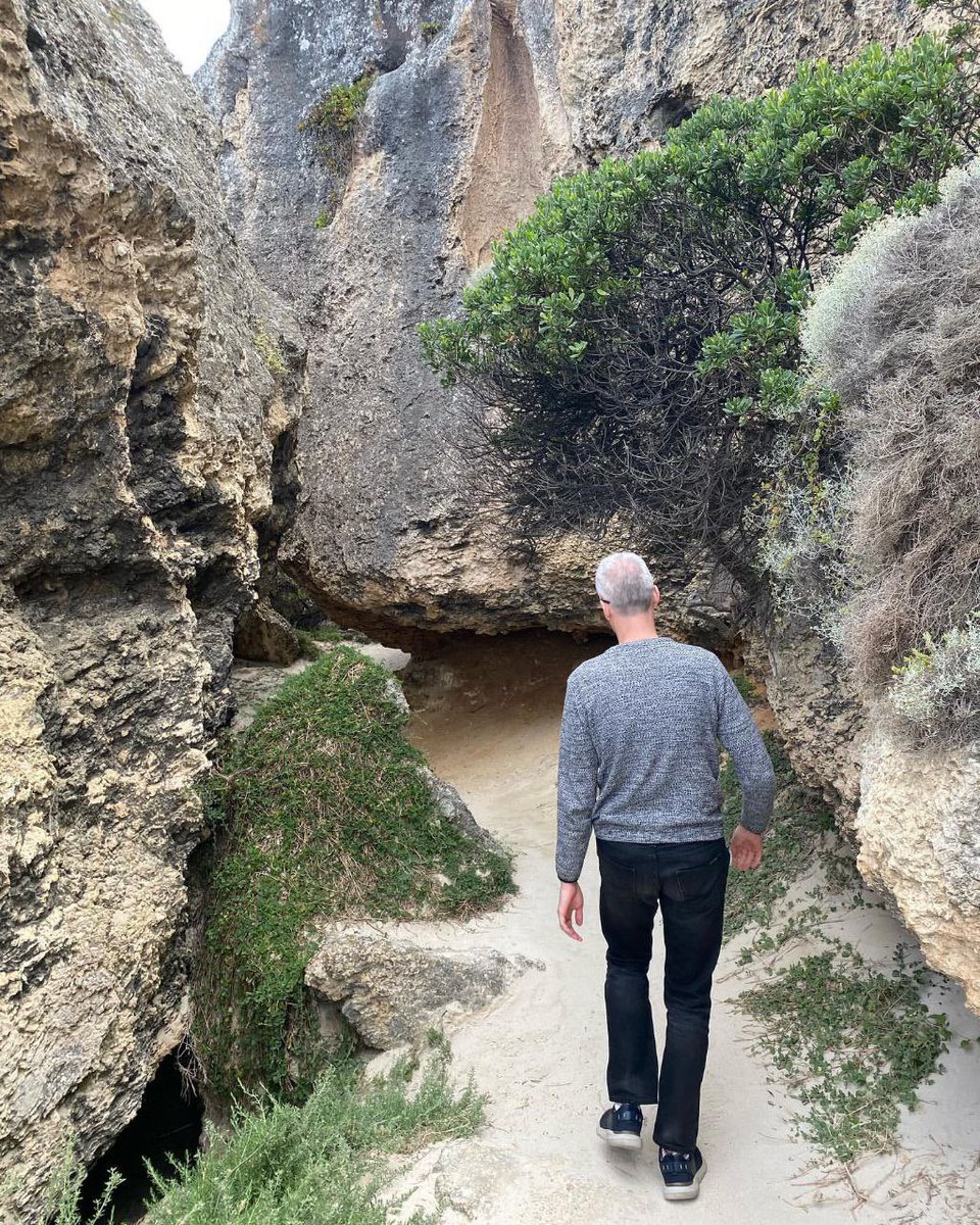 Markjenkins11's tweet photo. It’s work or walks for me https://t.co/Ote8owWOgY