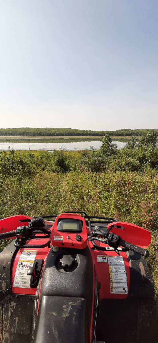 Jeebermonkey's tweet image. Things you find while quadding...