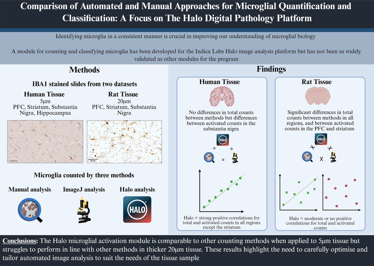 brainpathol's tweet image. Comparison of automated and manual approaches for microglial quantification and classification: A focus on the HALO digital pathology platform
onlinelibrary.wiley.com/doi/10.1111/bp…