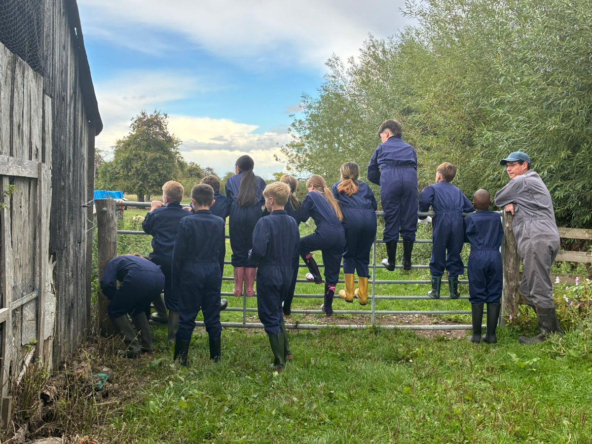 Focus Trust tweet media