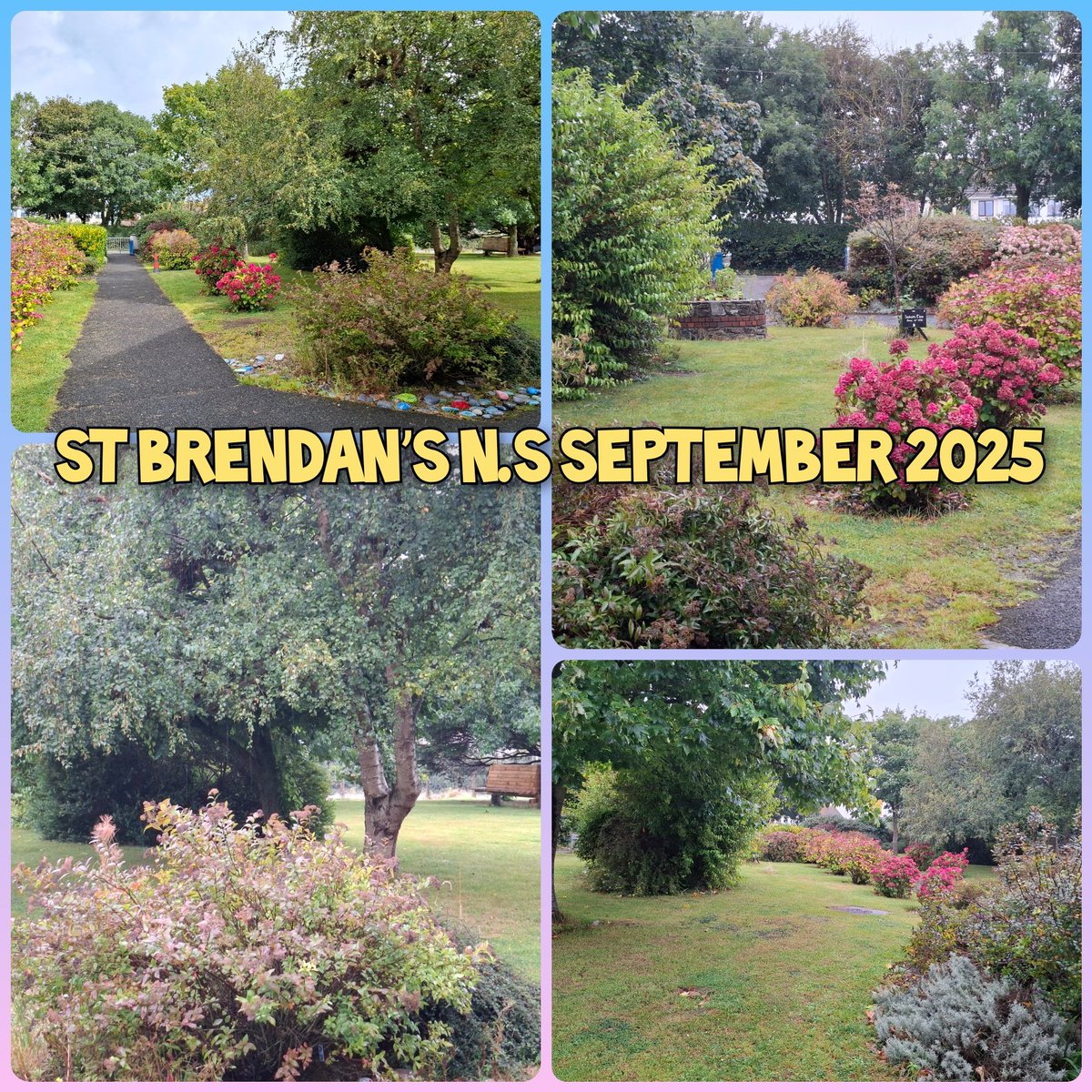 StBrendansNS (@stbrendansns) on Twitter photo 