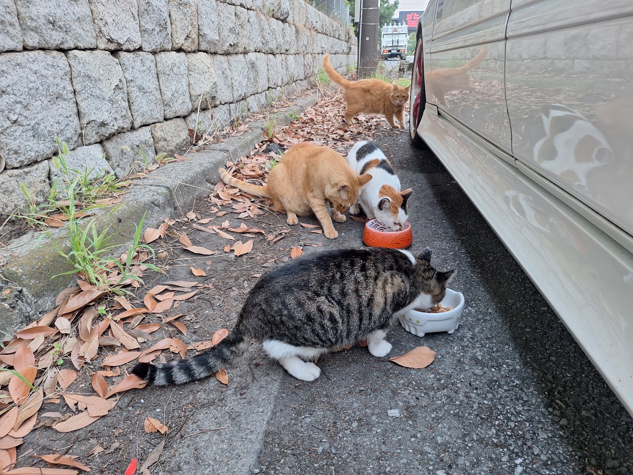 たかのっち🐈‍⬛/WEZARD/JZX100 on X: 