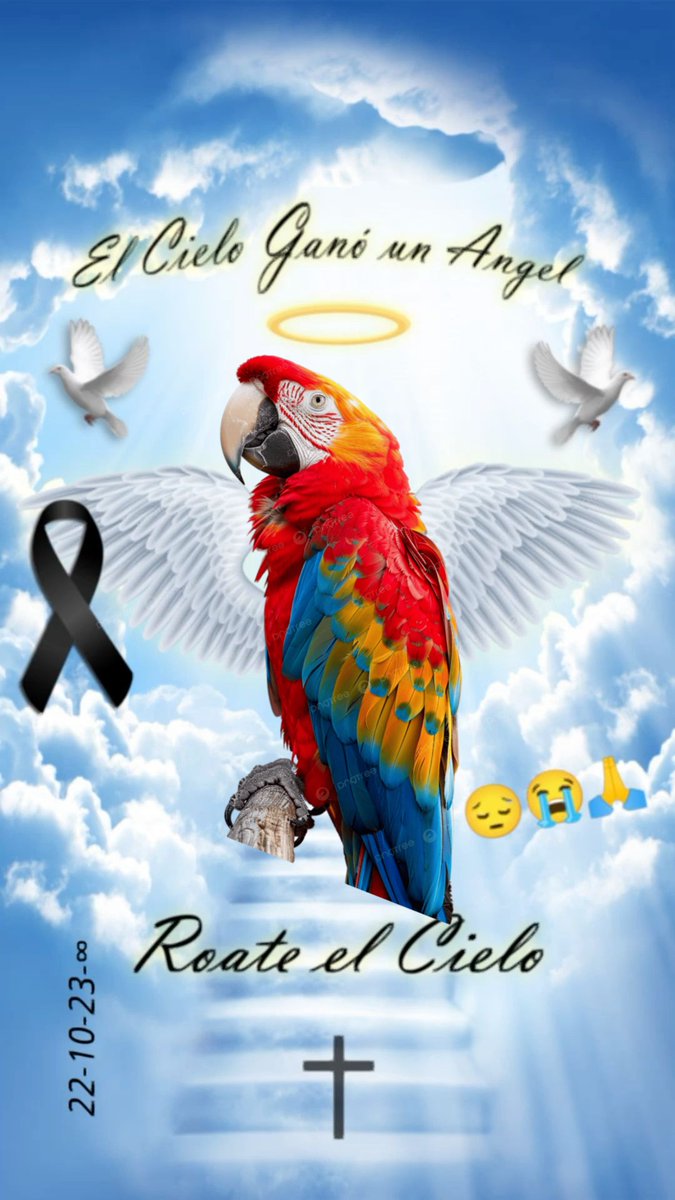 Manuel Santander (@elmanusantander) on Twitter photo 