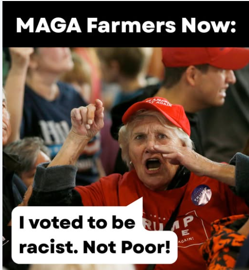 Samiam99's tweet image. 