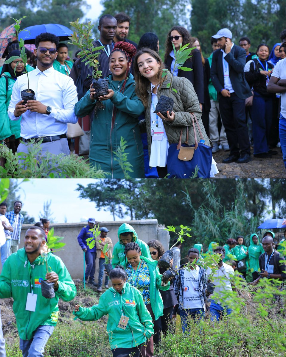 leylahasanova21's tweet photo. 🌱One of the most inspiring moments of Africa Climate Week was joining the Youth #Mutirão to plant 300 fruit trees at Addis Ababa Science and Technology University (AASTU), in partnership with UNICEF. With the support of more than 200 young volunteers, this beautiful action became a symbol of unity, care, and hope. ❤️
#AfricaClimateWeek 🇪🇹 #PYCC