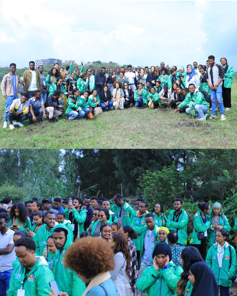 leylahasanova21's tweet photo. 🌱One of the most inspiring moments of Africa Climate Week was joining the Youth #Mutirão to plant 300 fruit trees at Addis Ababa Science and Technology University (AASTU), in partnership with UNICEF. With the support of more than 200 young volunteers, this beautiful action became a symbol of unity, care, and hope. ❤️
#AfricaClimateWeek 🇪🇹 #PYCC