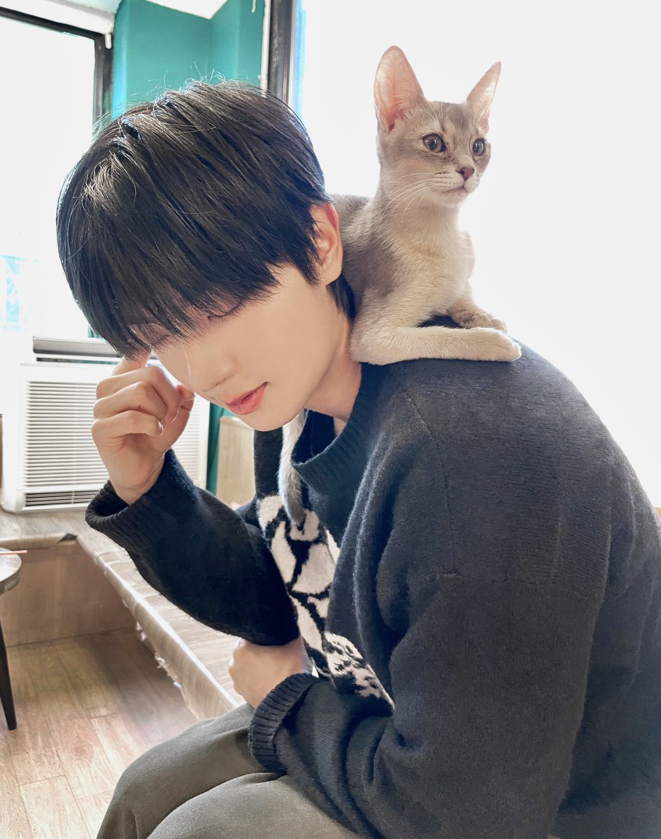 아 오늘 9월 9일 한국고양이의날인데…  
어떤 구냥이 너무 보고싶어요,, ( 강현9 아니면 쳐다도 안봄