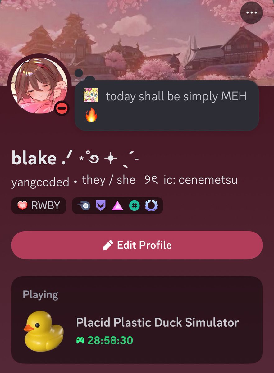 ˖ 𑣲 blake tweet media